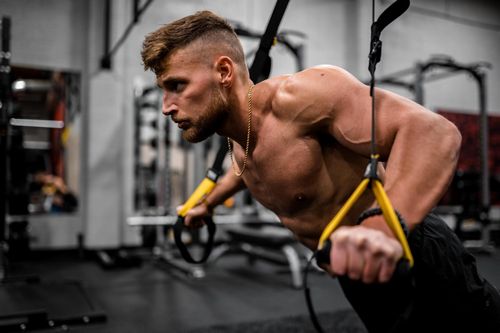 AnastroX Malay Tiger: Un Approfondimento su un Integratore per il Bodybuilding AnastroX Malay Tiger: Un Approfondimento su un Integratore per il Bodybuilding
